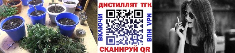 ТГК гашишное масло Пойковский