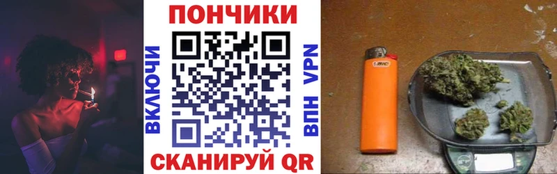 Каннабис планчик  Пойковский 